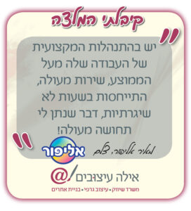 המלצה מאיר